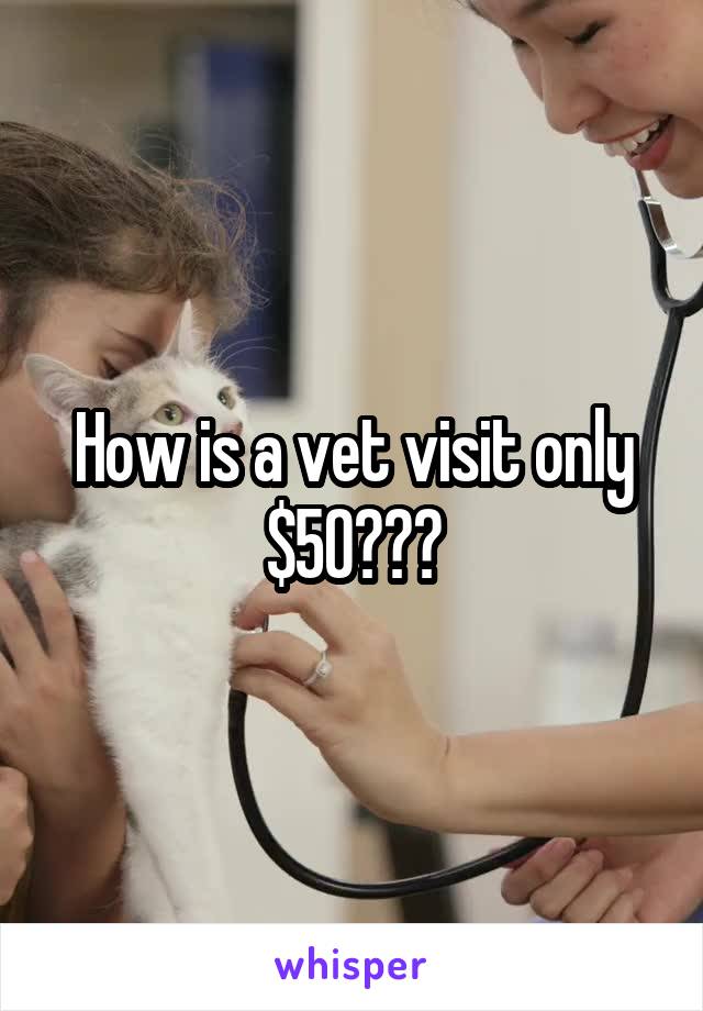 How is a vet visit only $50???