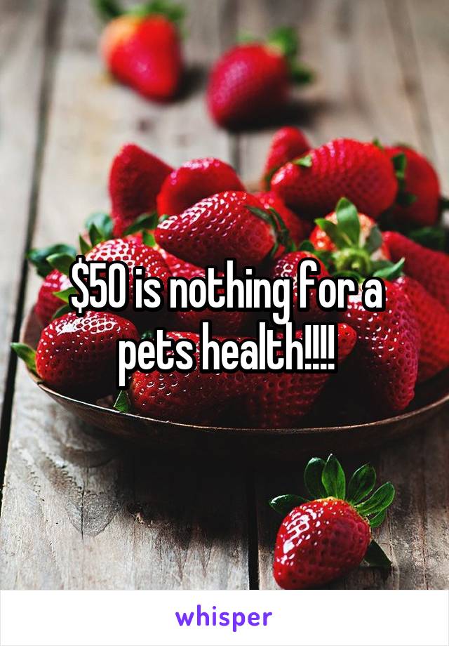 $50 is nothing for a pets health!!!!