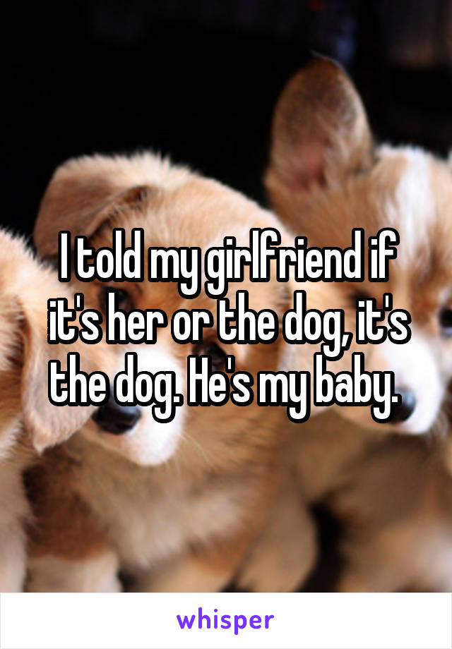 I told my girlfriend if it's her or the dog, it's the dog. He's my baby. 