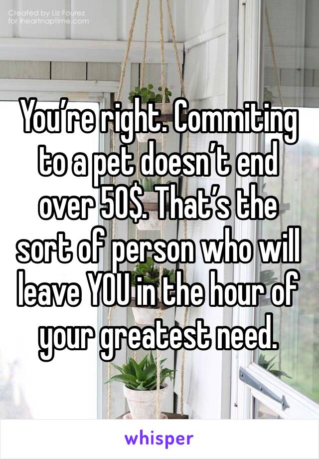 You’re right. Commiting to a pet doesn’t end over 50$. That’s the sort of person who will leave YOU in the hour of your greatest need. 