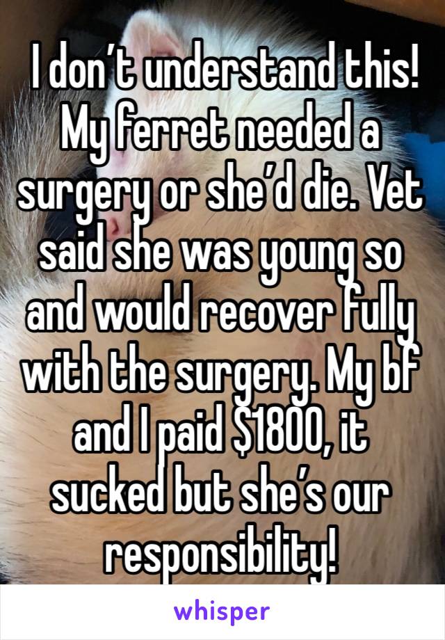  I don’t understand this! My ferret needed a surgery or she’d die. Vet said she was young so and would recover fully with the surgery. My bf and I paid $1800, it sucked but she’s our responsibility!