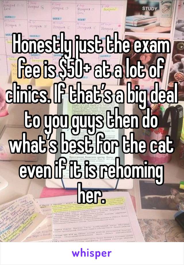 Honestly just the exam fee is $50+ at a lot of clinics. If that’s a big deal to you guys then do what’s best for the cat even if it is rehoming her. 