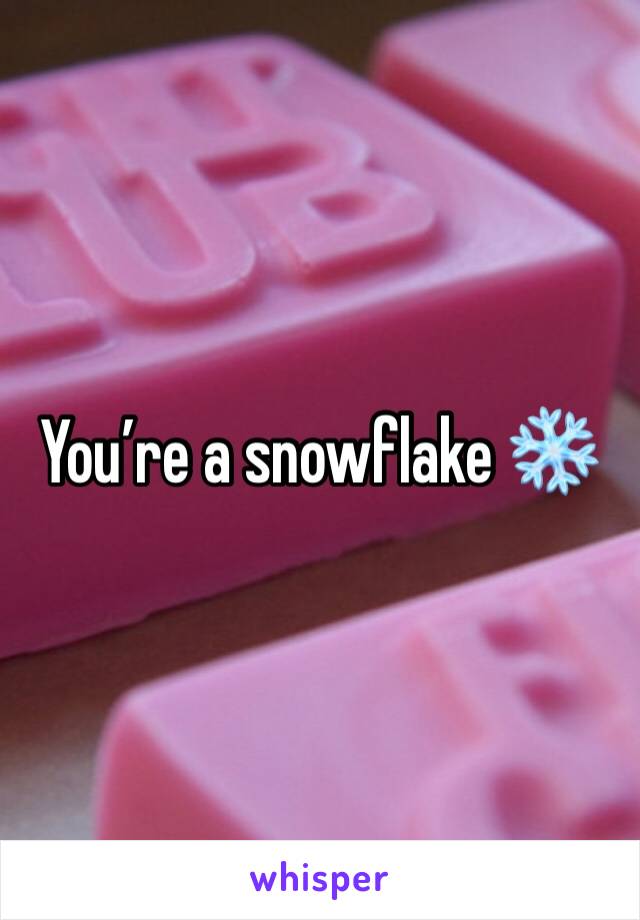 You’re a snowflake ❄️ 