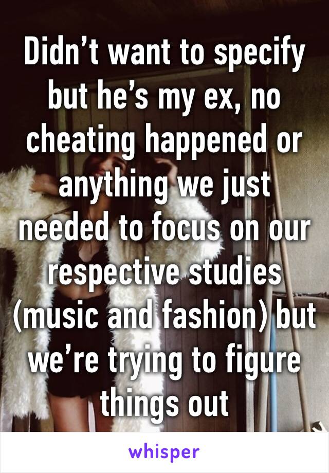 Didn’t want to specify but he’s my ex, no cheating happened or anything we just needed to focus on our respective studies (music and fashion) but we’re trying to figure things out