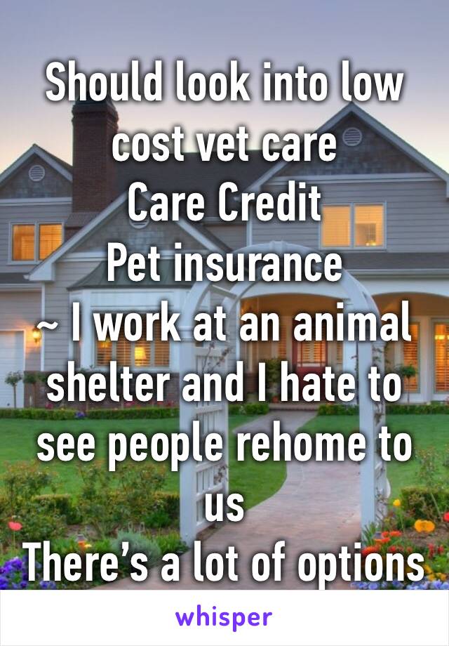 Should look into low cost vet care
Care Credit
Pet insurance 
~ I work at an animal shelter and I hate to see people rehome to us
There’s a lot of options 