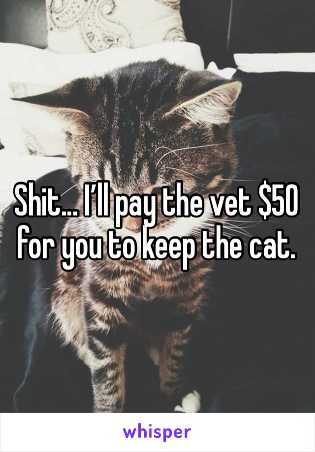 Shit... I’ll pay the vet $50 for you to keep the cat.