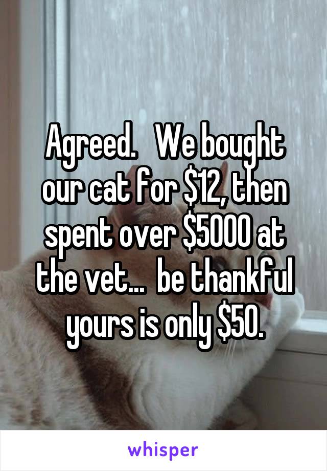 Agreed.   We bought our cat for $12, then spent over $5000 at the vet...  be thankful yours is only $50.