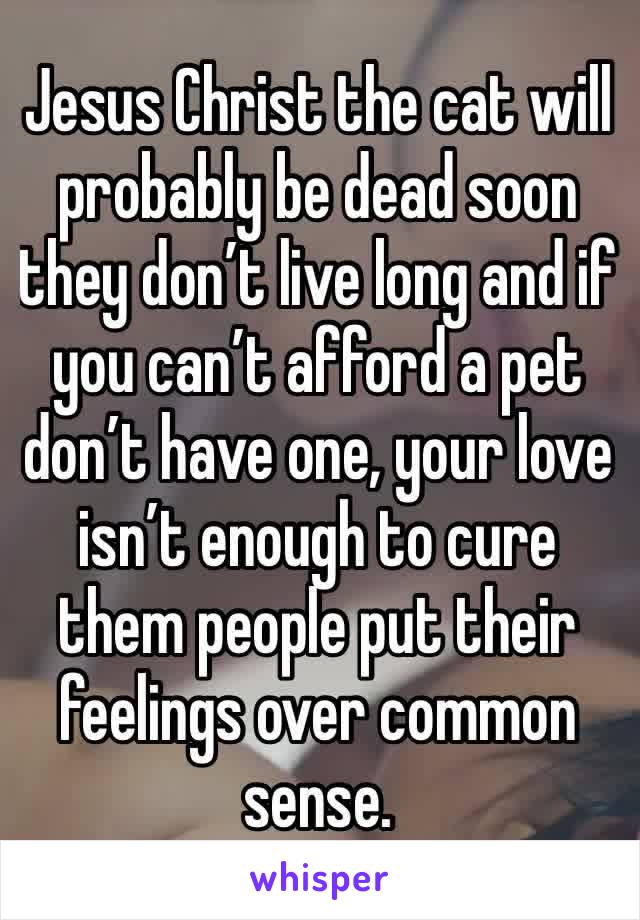 Jesus Christ the cat will probably be dead soon they don’t live long and if you can’t afford a pet don’t have one, your love isn’t enough to cure them people put their feelings over common sense.