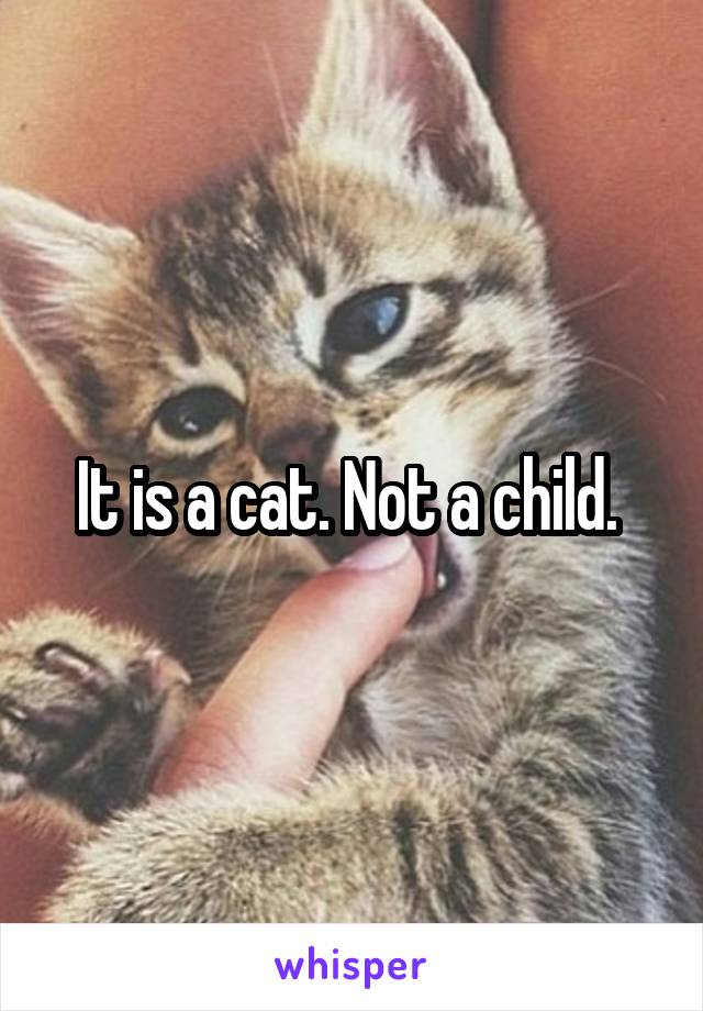 It is a cat. Not a child. 