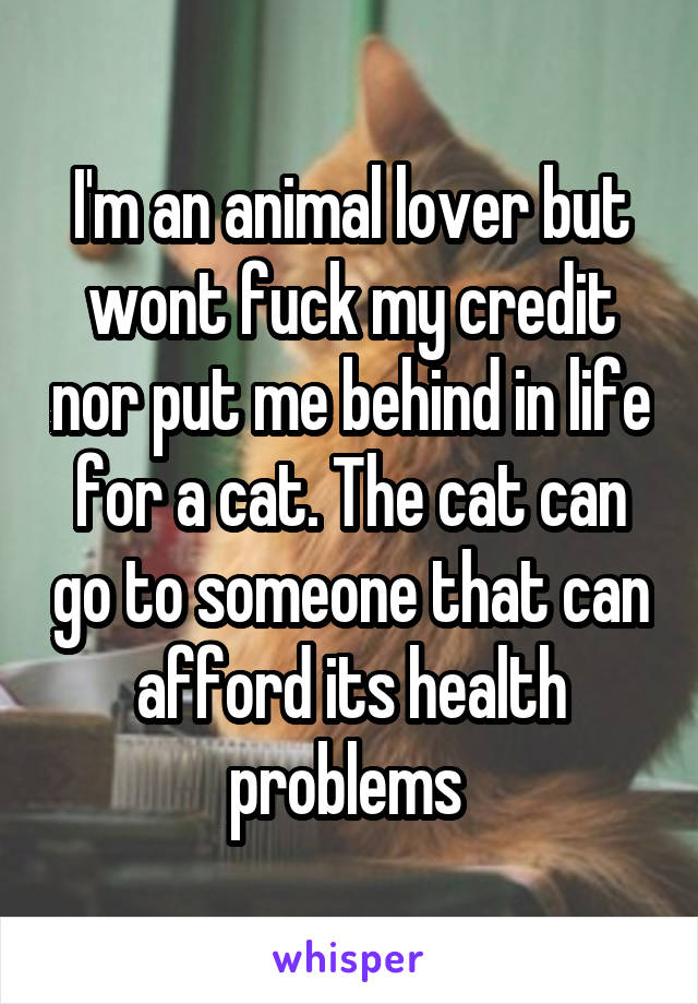 I'm an animal lover but wont fuck my credit nor put me behind in life for a cat. The cat can go to someone that can afford its health problems 