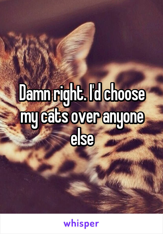 Damn right. I'd choose my cats over anyone else