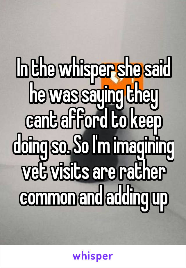 In the whisper she said he was saying they cant afford to keep doing so. So I'm imagining vet visits are rather common and adding up