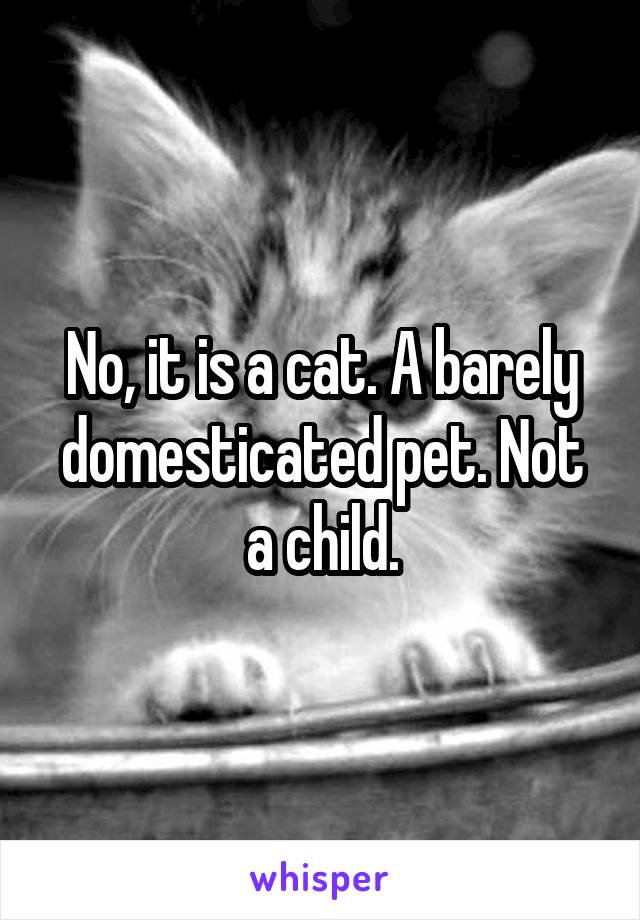 No, it is a cat. A barely domesticated pet. Not a child.