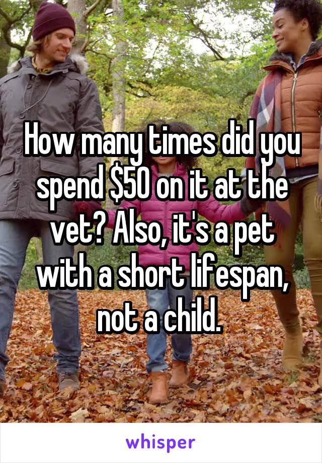 How many times did you spend $50 on it at the vet? Also, it's a pet with a short lifespan, not a child. 