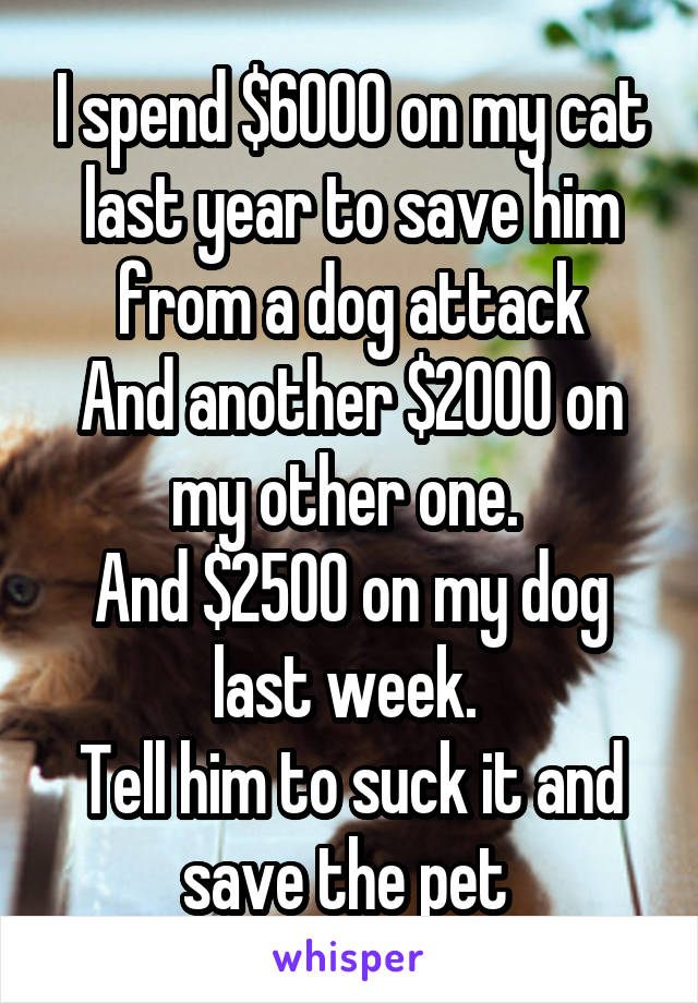 I spend $6000 on my cat last year to save him from a dog attack
And another $2000 on my other one. 
And $2500 on my dog last week. 
Tell him to suck it and save the pet 