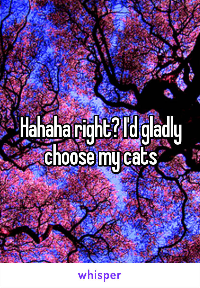 Hahaha right? I'd gladly choose my cats