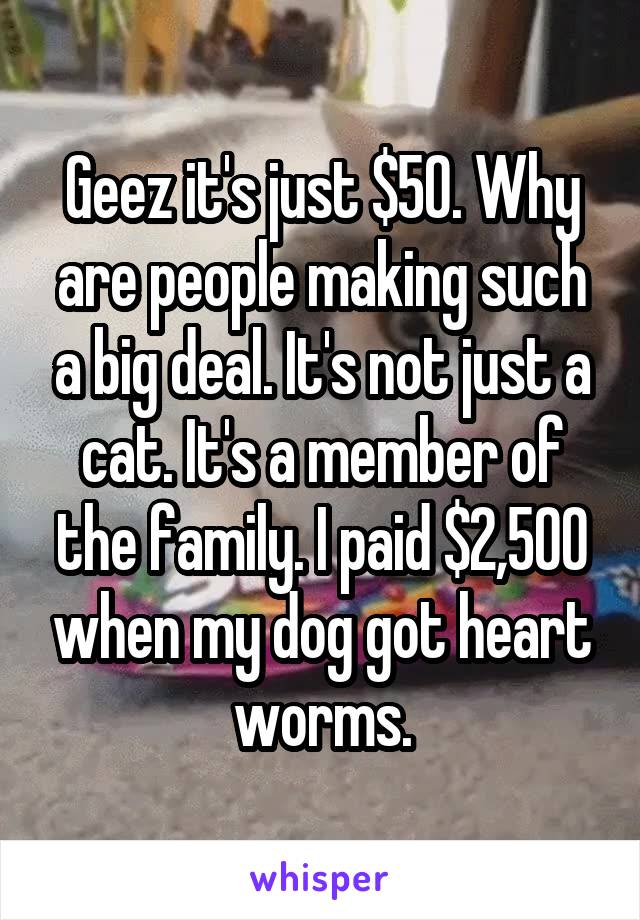 Geez it's just $50. Why are people making such a big deal. It's not just a cat. It's a member of the family. I paid $2,500 when my dog got heart worms.