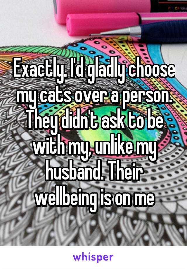 Exactly. I'd gladly choose my cats over a person. They didn't ask to be with my, unlike my husband. Their wellbeing is on me