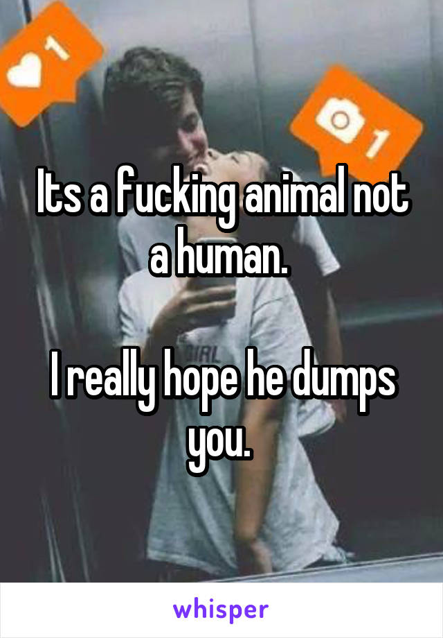 Its a fucking animal not a human. 

I really hope he dumps you. 