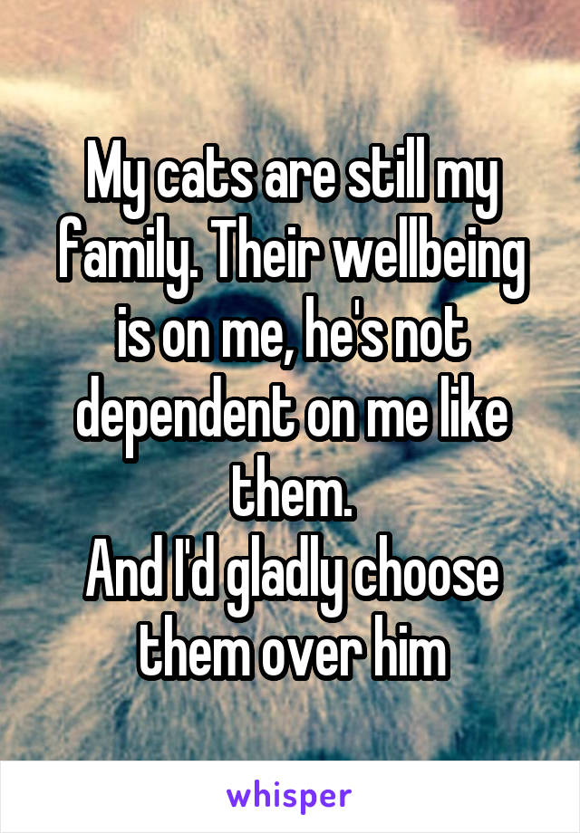 My cats are still my family. Their wellbeing is on me, he's not dependent on me like them.
And I'd gladly choose them over him