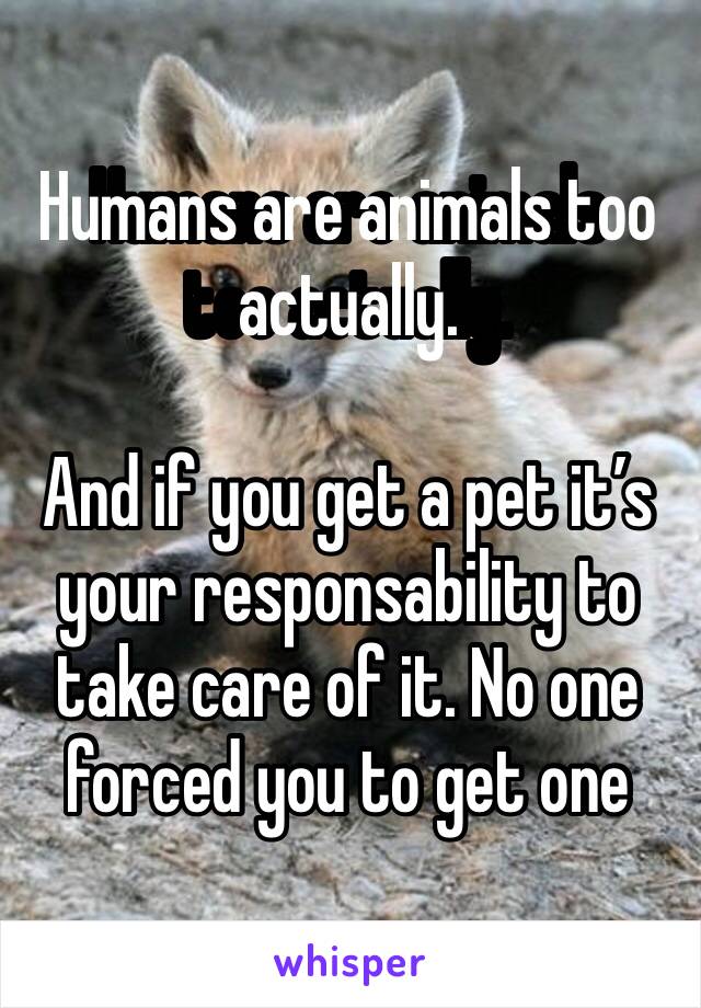 Humans are animals too actually. 

And if you get a pet it’s your responsability to take care of it. No one forced you to get one