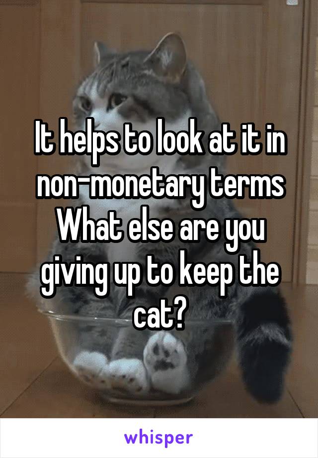 It helps to look at it in non-monetary terms
What else are you giving up to keep the cat?