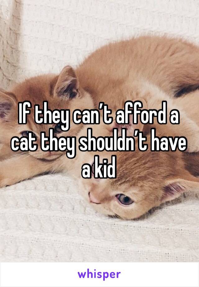 If they can’t afford a cat they shouldn’t have a kid