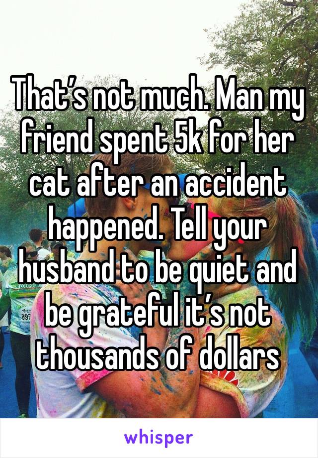 That’s not much. Man my friend spent 5k for her cat after an accident happened. Tell your husband to be quiet and be grateful it’s not thousands of dollars