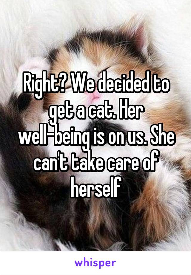 Right? We decided to get a cat. Her well-being is on us. She can't take care of herself