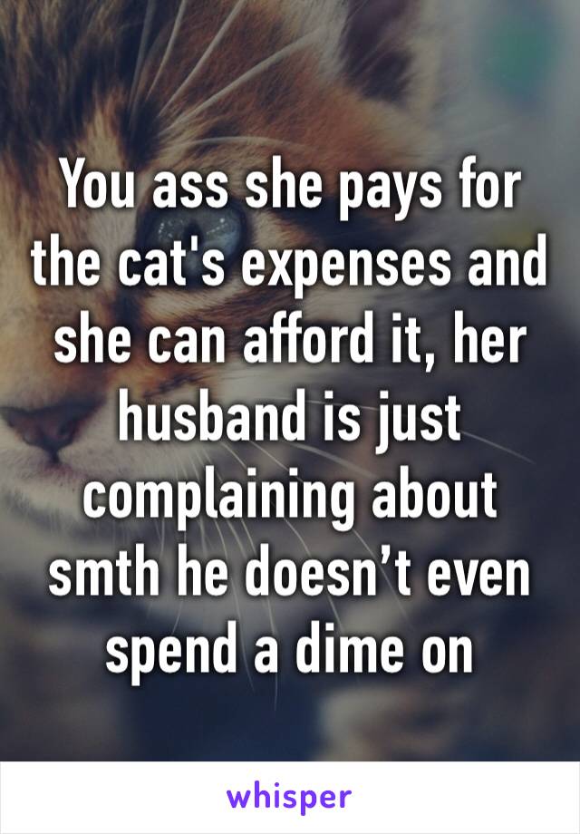 You ass she pays for the cat's expenses and she can afford it, her husband is just complaining about smth he doesn’t even spend a dime on