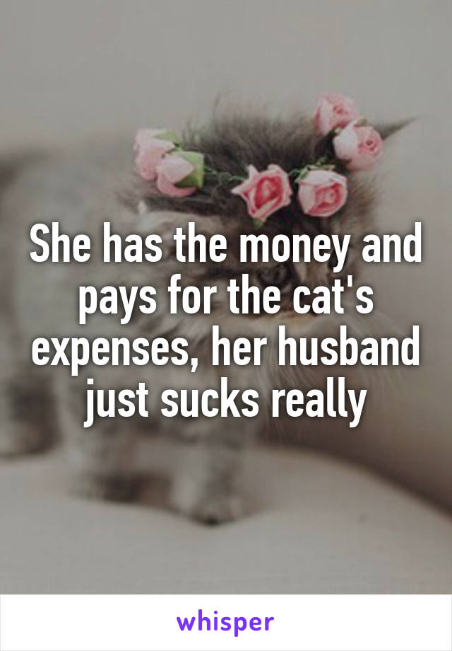 She has the money and pays for the cat's expenses, her husband just sucks really