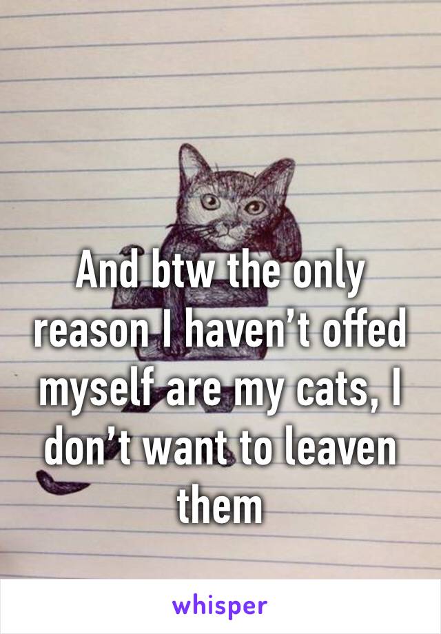 And btw the only reason I haven’t offed myself are my cats, I don’t want to leaven them