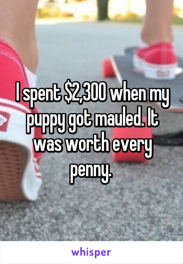 I spent $2,300 when my puppy got mauled. It was worth every penny. 