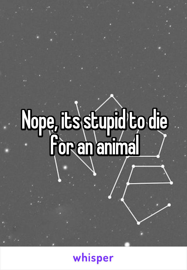 Nope, its stupid to die for an animal