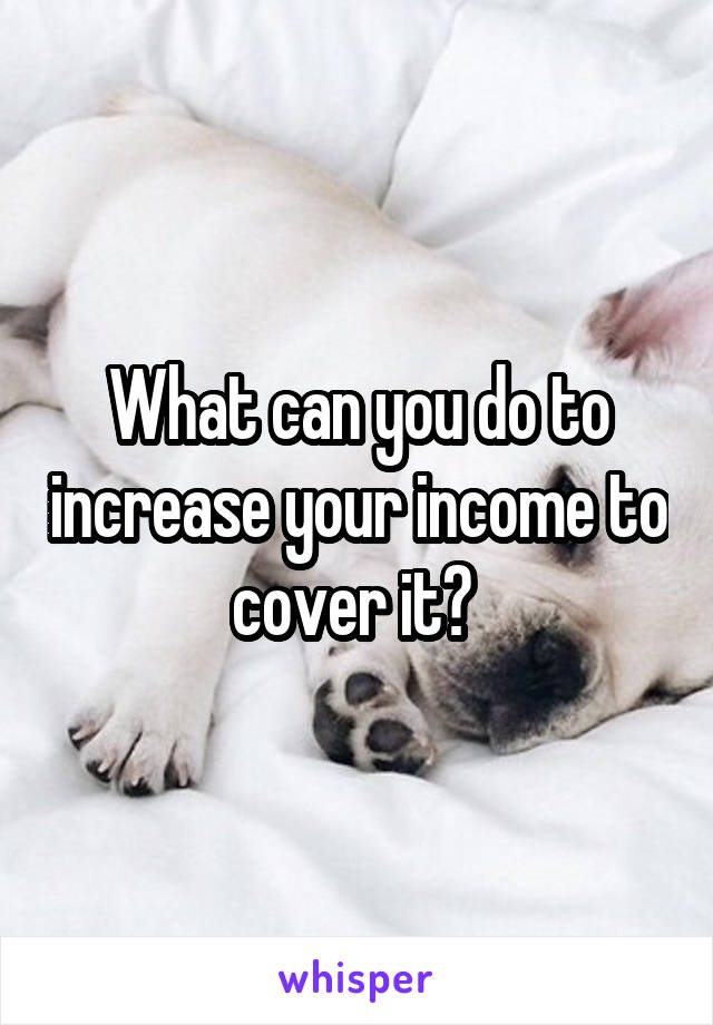 What can you do to increase your income to cover it? 