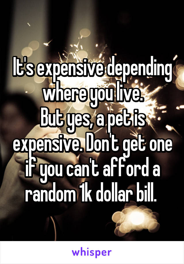 It's expensive depending where you live.
But yes, a pet is expensive. Don't get one if you can't afford a random 1k dollar bill. 