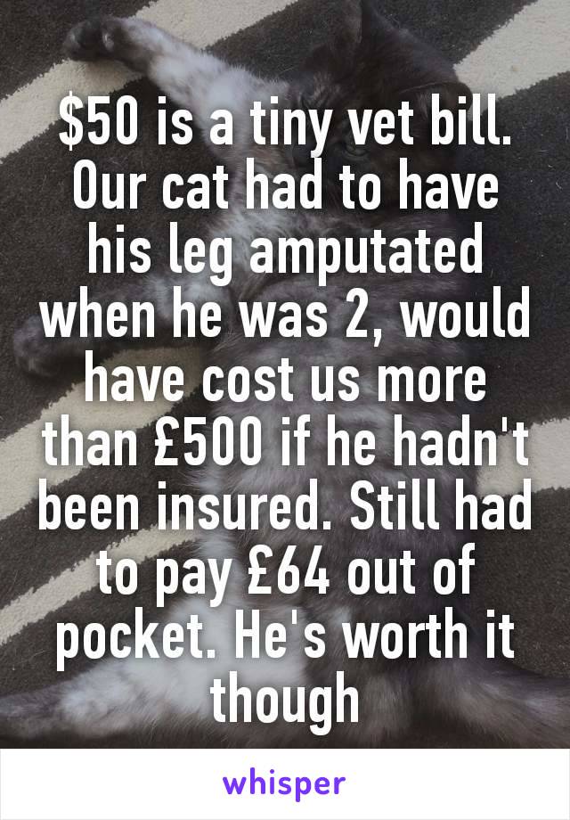 $50 is a tiny vet bill. Our cat had to have his leg amputated when he was 2, would have cost us more than £500 if he hadn't been insured. Still had to pay £64 out of pocket. He's worth it though