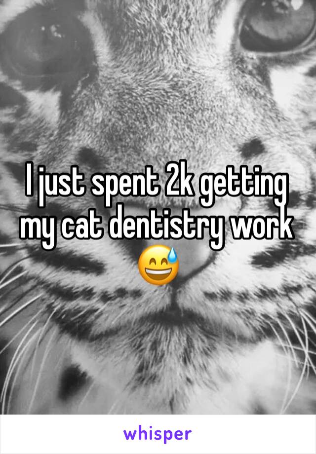 I just spent 2k getting my cat dentistry work 😅