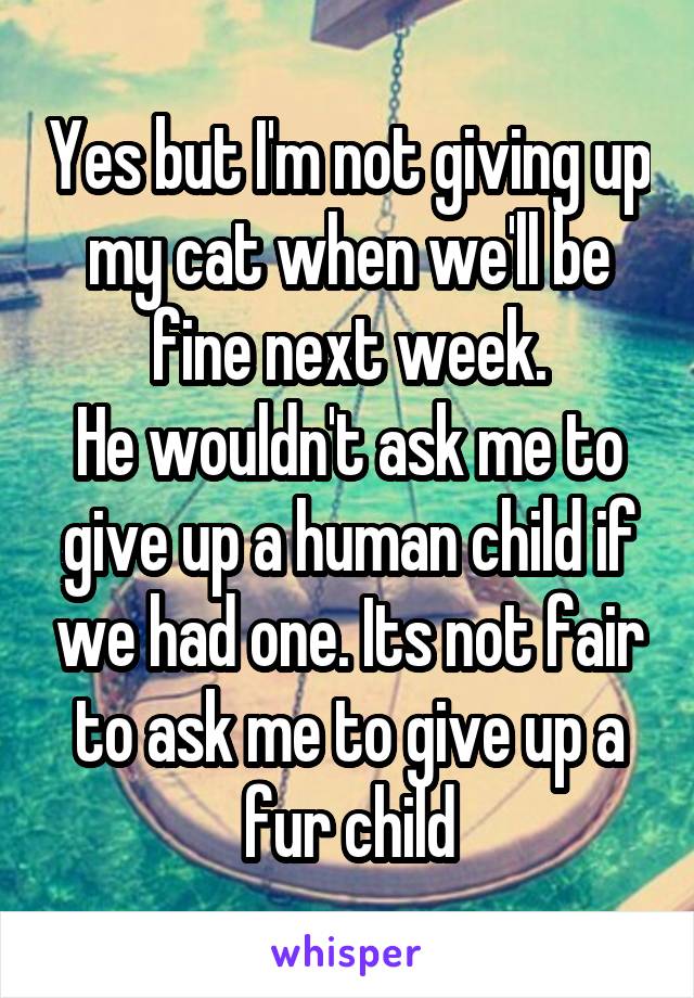 Yes but I'm not giving up my cat when we'll be fine next week.
He wouldn't ask me to give up a human child if we had one. Its not fair to ask me to give up a fur child