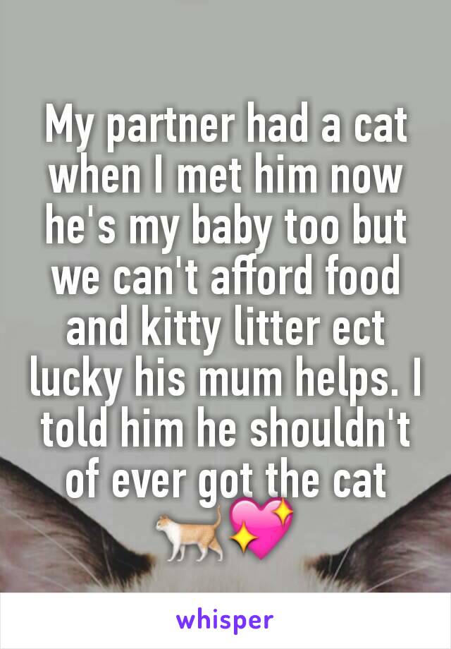 My partner had a cat when I met him now he's my baby too but we can't afford food and kitty litter ect lucky his mum helps. I told him he shouldn't of ever got the cat 🐈💖