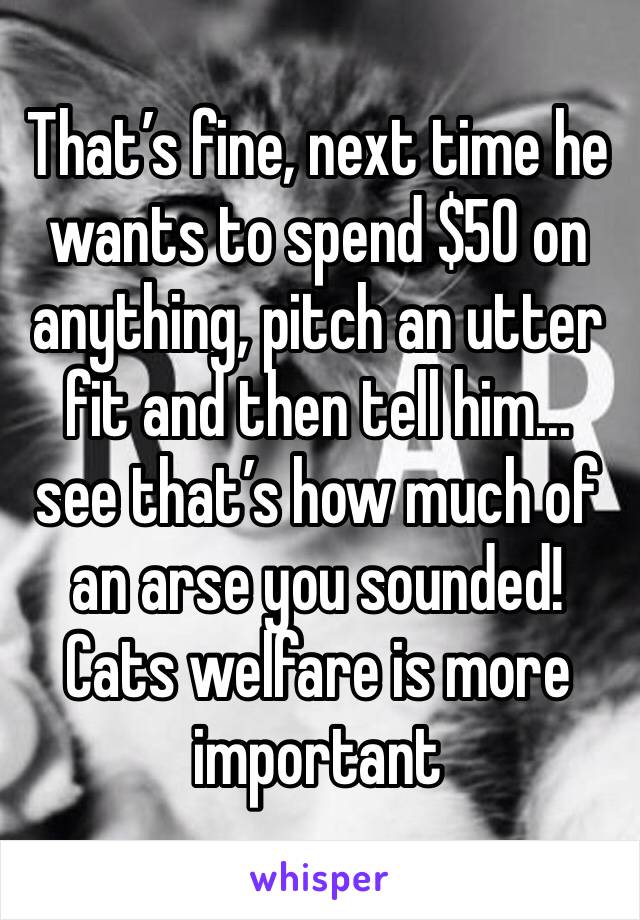 That’s fine, next time he wants to spend $50 on anything, pitch an utter fit and then tell him... see that’s how much of an arse you sounded! Cats welfare is more important