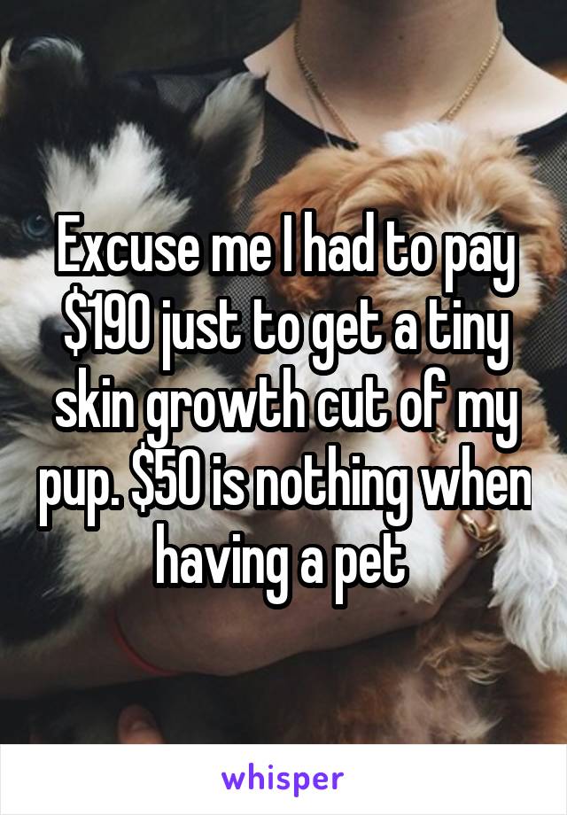 Excuse me I had to pay $190 just to get a tiny skin growth cut of my pup. $50 is nothing when having a pet 