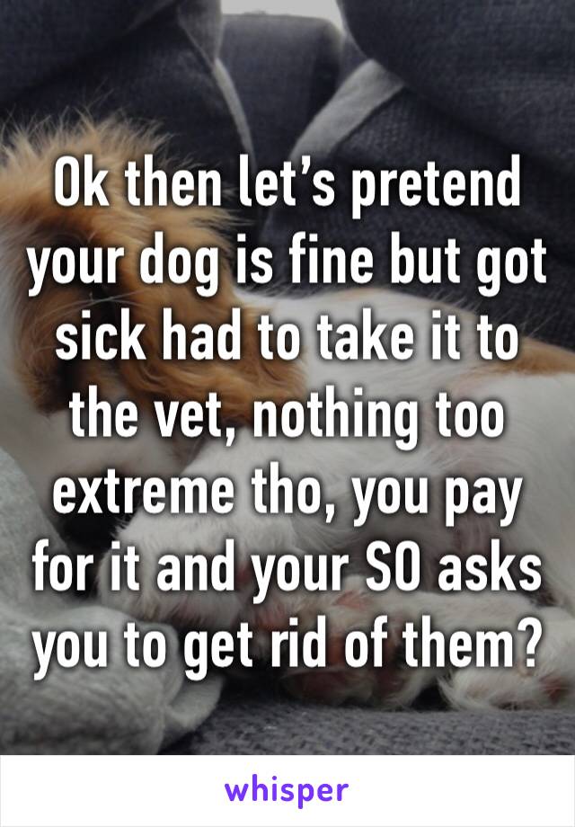 Ok then let’s pretend your dog is fine but got sick had to take it to the vet, nothing too extreme tho, you pay for it and your SO asks you to get rid of them?