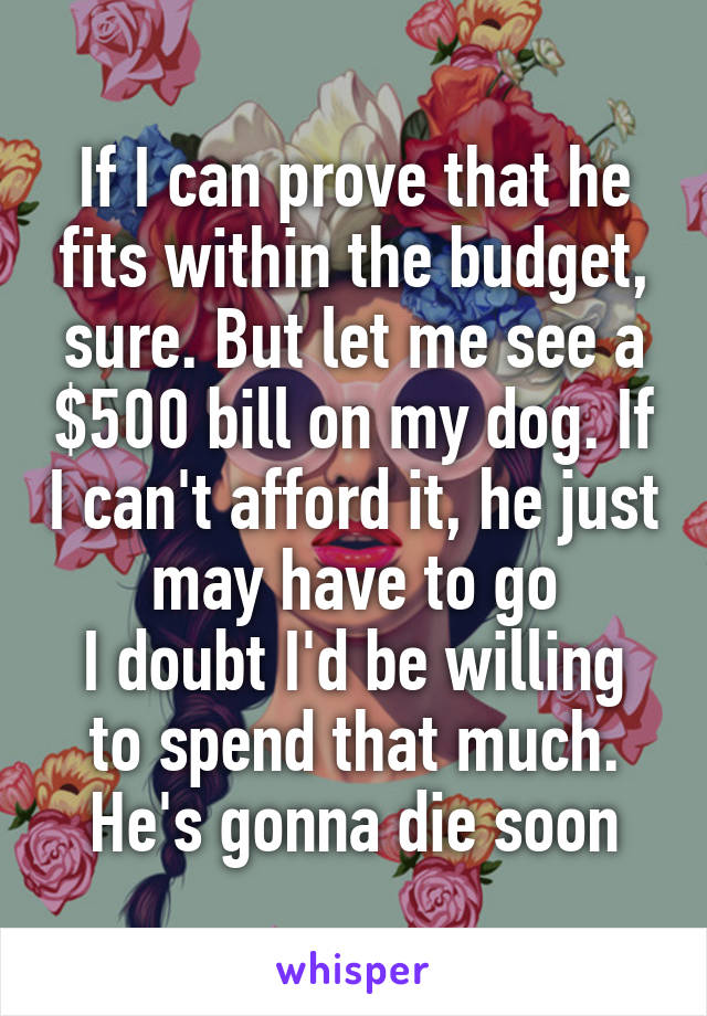 If I can prove that he fits within the budget, sure. But let me see a $500 bill on my dog. If I can't afford it, he just may have to go
I doubt I'd be willing to spend that much. He's gonna die soon