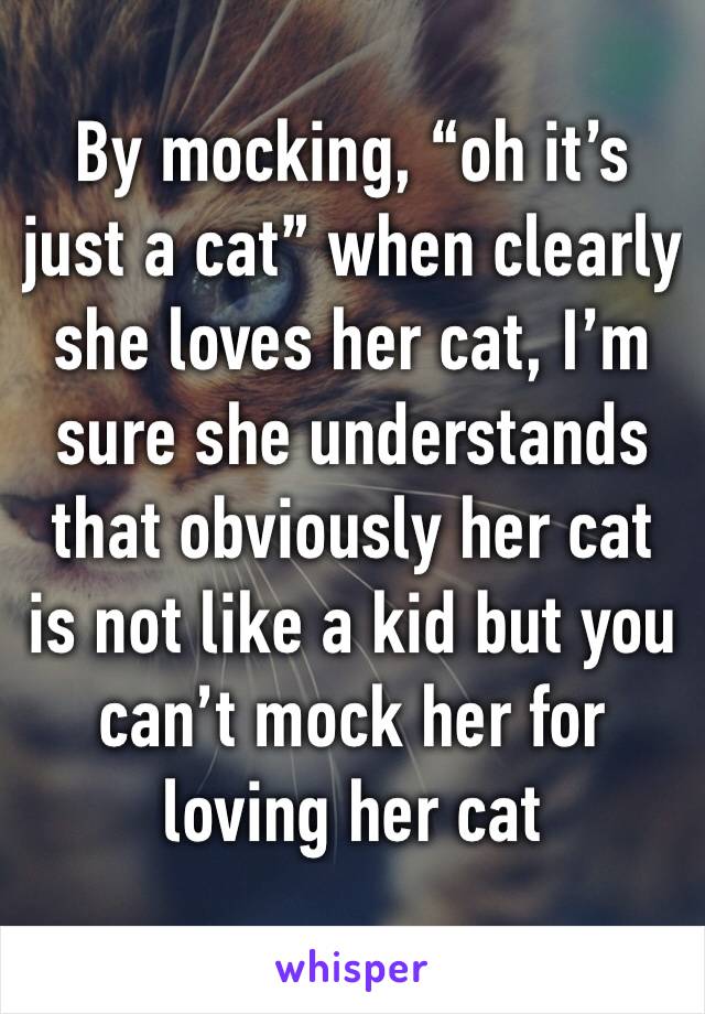 By mocking, “oh it’s just a cat” when clearly she loves her cat, I’m sure she understands that obviously her cat is not like a kid but you can’t mock her for loving her cat