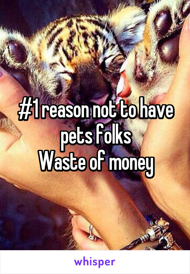 #1 reason not to have pets folks
Waste of money