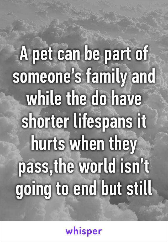 A pet can be part of someone’s family and while the do have shorter lifespans it hurts when they pass,the world isn’t going to end but still