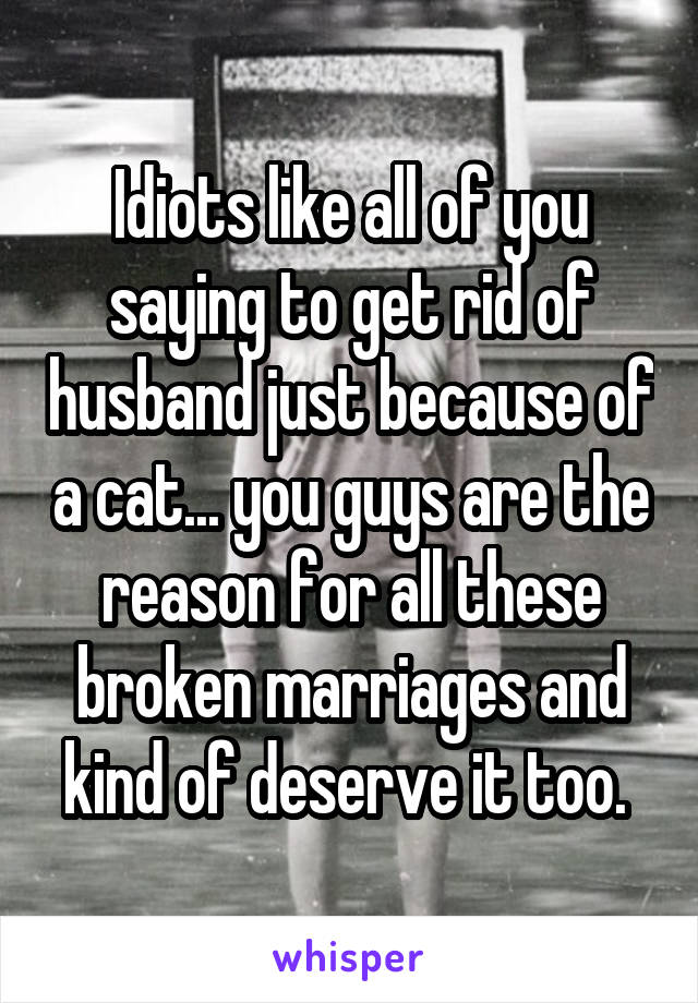 Idiots like all of you saying to get rid of husband just because of a cat... you guys are the reason for all these broken marriages and kind of deserve it too. 