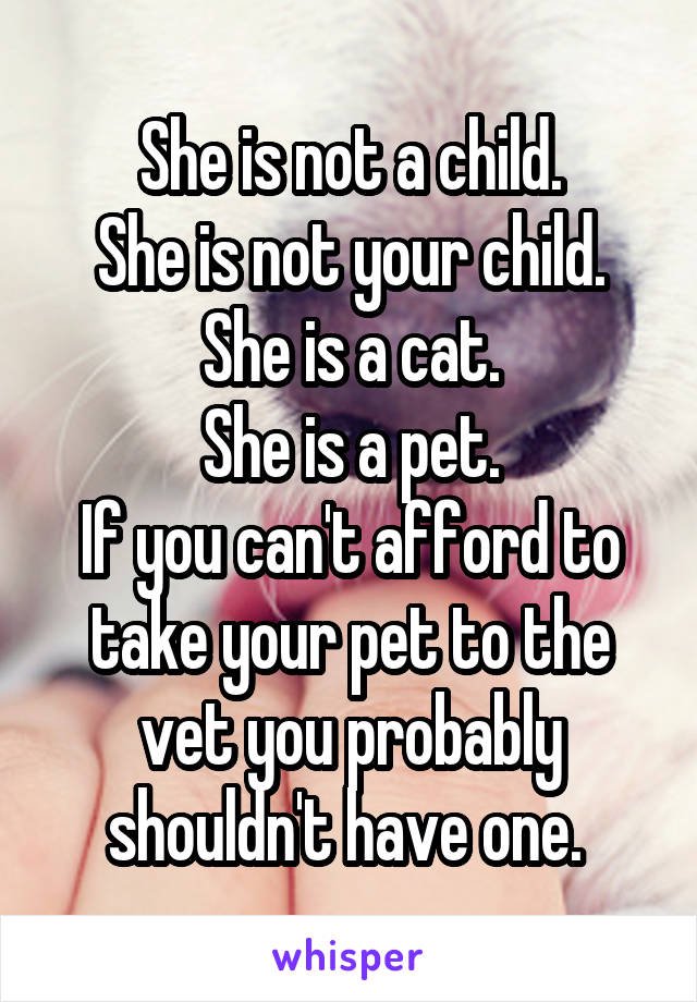 She is not a child.
She is not your child.
She is a cat.
She is a pet.
If you can't afford to take your pet to the vet you probably shouldn't have one. 