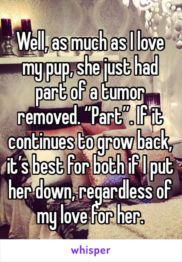 Well, as much as I love my pup, she just had part of a tumor removed. “Part”. If it continues to grow back, it’s best for both if I put her down, regardless of my love for her. 